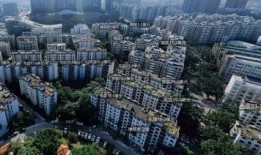 深圳龙岗最新网友爆料,突发事件引发热议，详情揭晓！