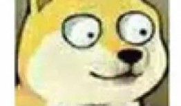 大狗最新爆料视频,揭秘视频背后的惊人真相