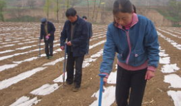 陇县新闻爆料网最新消息,最新动态，揭秘陇县热点事件！