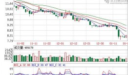 中国国安局最新爆料消息,深度解析我国网络安全与反间谍斗争”