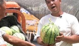 长葛吃瓜最新事件爆料是真的吗,最新爆料真相揭秘