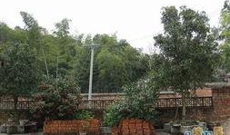 湖南校园爆料图片大全最新