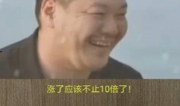 富人最新爆料视频