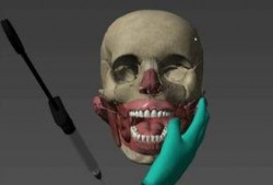 人体模型最新爆料