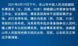 乐山最新爆料消息新闻,揭秘城市热点事件背后的真相