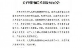 松原最新爆料,揭秘事件背后惊人真相