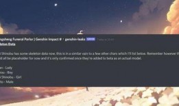 原神最新内鬼爆料夜岚,揭秘原神全新元素与神秘背景故事