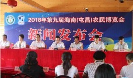 屯昌最新爆料新闻报道,揭秘当地热点事件背后的真相