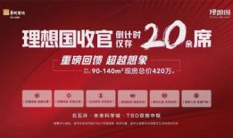 沁园最新爆料,揭秘神秘项目，引领行业新风向