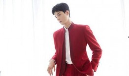 热巴龚俊最新爆料消息,甜蜜互动引粉丝热议，幕后故事揭秘