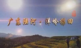 陆河新闻爆料事件最新进展,最新进展揭示惊人内幕