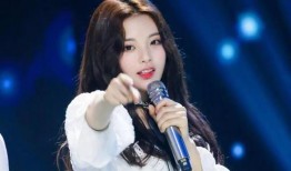 明星爆料歌单大全最新,揭秘偶像私藏音乐清单