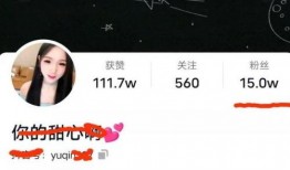 四川网红爆料视频大全最新,揭秘网络红人幕后故事