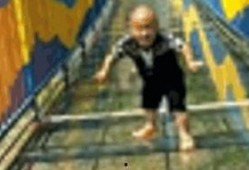 最新老子爆料搞笑视频,揭秘生活幽默瞬间