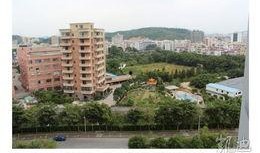 深圳龙岗最新网友爆料,突发事件引发热议，详情揭晓！