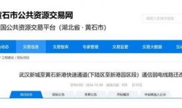 宜昌新闻网爆料信息最新,揭秘宜昌某神秘项目进展情况