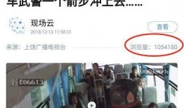 最新红色爆料视频大全,视频大全深度解析