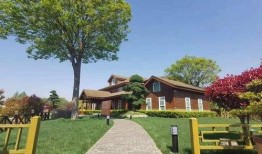 成都道路爆料最新消息查询