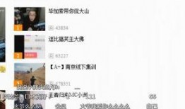 老汪最新爆料视频播放,热点事件背后的惊人真相